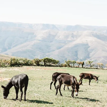 度假居 Casa Dos Costas