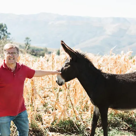 Casa Dos Costas * Parada de Ester