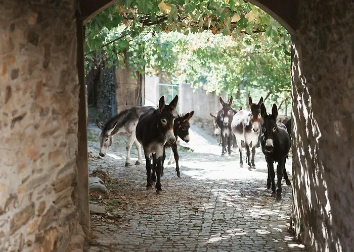 Semesterbostad Casa Dos Costas Parada de Ester