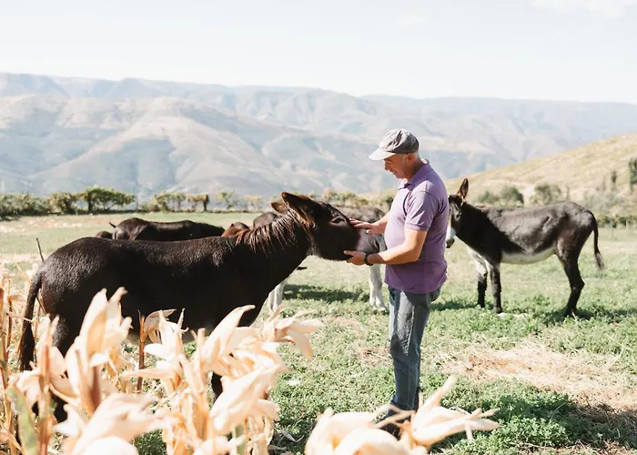 Semesterbostad Casa Dos Costas *
