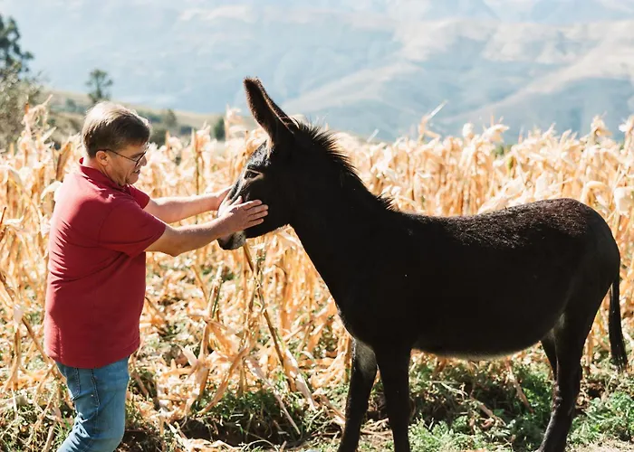 Casa Dos Costas Semesterbostad